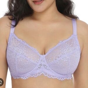 HSIA Lace Underwire Bra 42DD